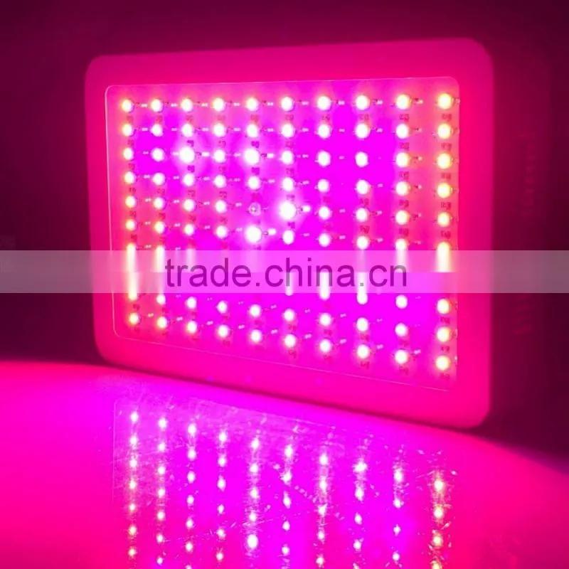good price spider cob led grow light
