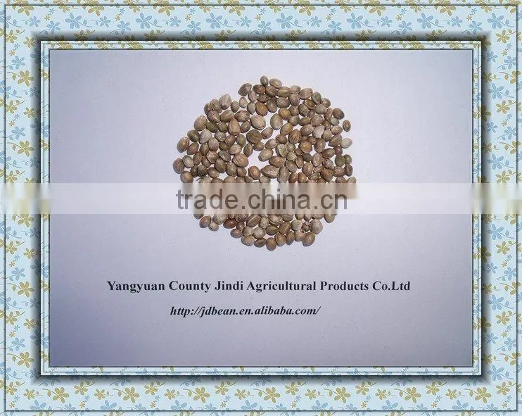 high quality hemp seeds for bird