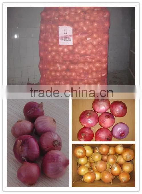 Cheap price for 2014 new crop of fresh red onion for export