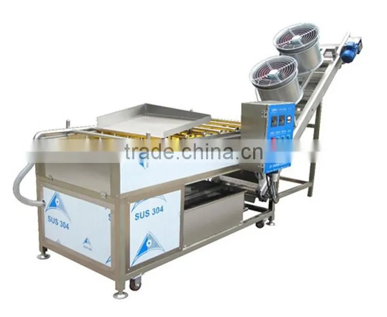 HP-220 + DM-15 fruit washing and drying machine