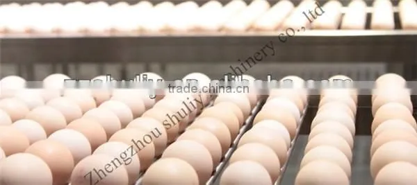 low price egg grading machine