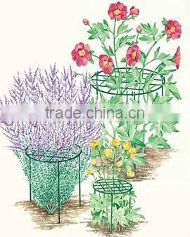 Garden Plant Supports