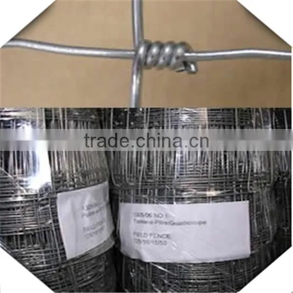 high zinc coated galvanized field fence for sale / galvanized sheep fence for sale