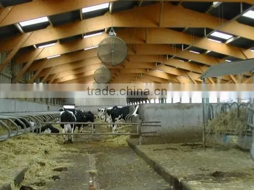 cow fan/hanging fan/dairy fan/dairy house fan/cow house fan