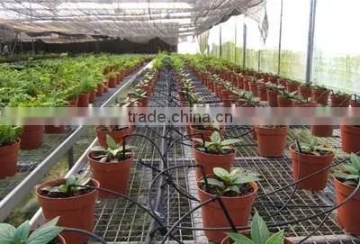 greenhouse mist irrigation system for flower