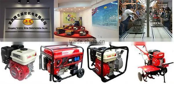 Portable 2kw Gasoline LPG Kerosene Power Generator for Home Use