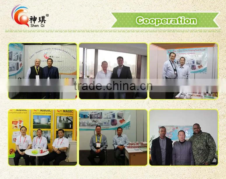 Technology professional supply of yeast powder, yeast extract raw materials