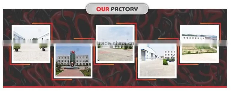 Poplar plastic supply construction shuttering