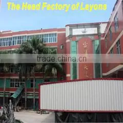Jinjiang Laynos Sport Garments Co., Ltd. company overview - view 3