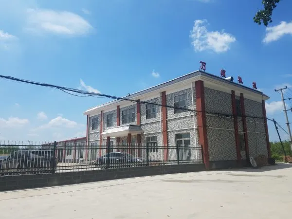 Cangzhou Wanqing Mechanical Equipment Co.,Ltd. company overview - view 2