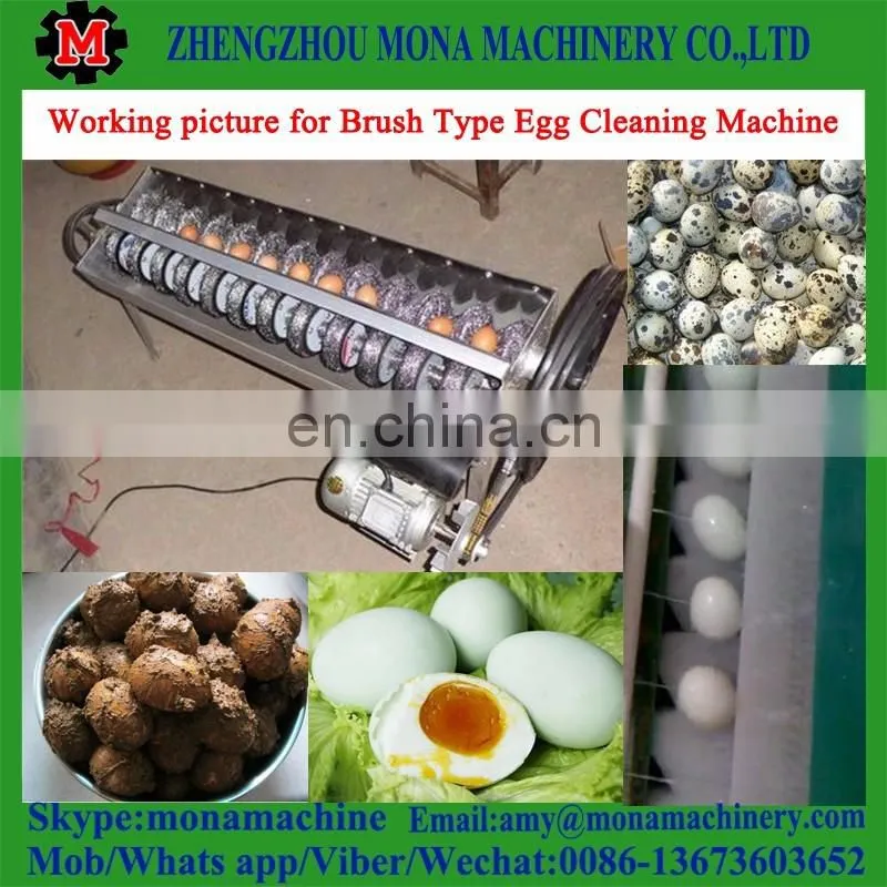 Successed technical reliable quality machine automatic brush type egg washing machine for sale