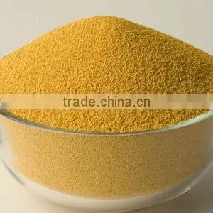 soybean dry