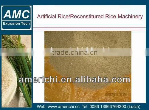 Enriched Rice Making Machines