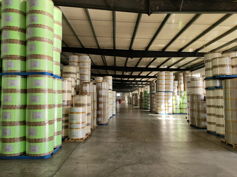 Tianjinsheng Non-woven Technology Co., Ltd. company overview - view 4