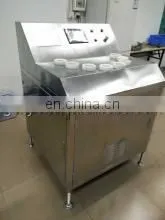 dried kiwi chips processing line