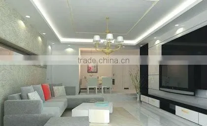 led modern ceiling lamp