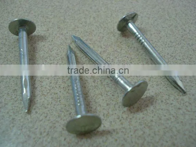 color zinc clout nails