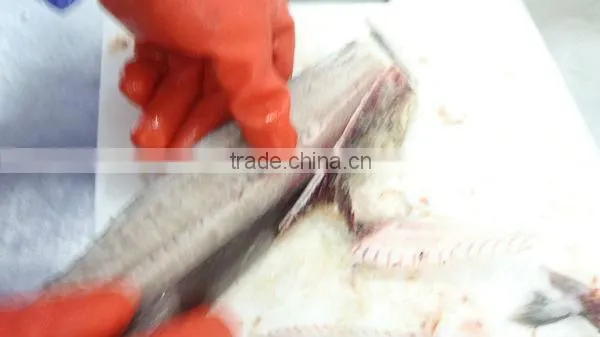 spanish meckral fresh fish