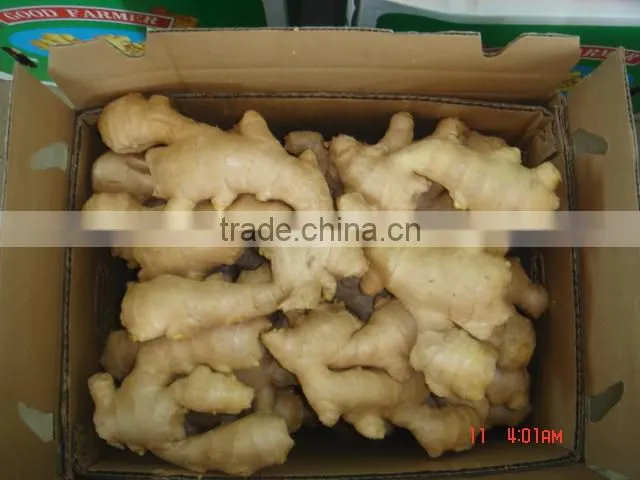 fresh ginger