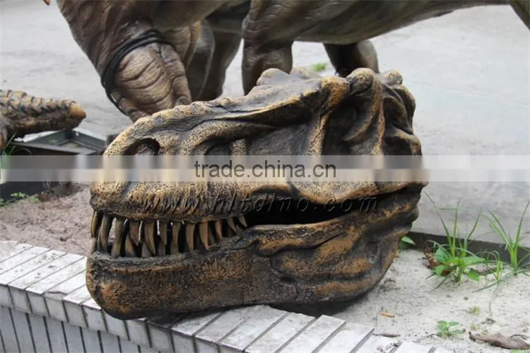 HLT dinosaur theme park dinosaur replica dinosaur skull sale