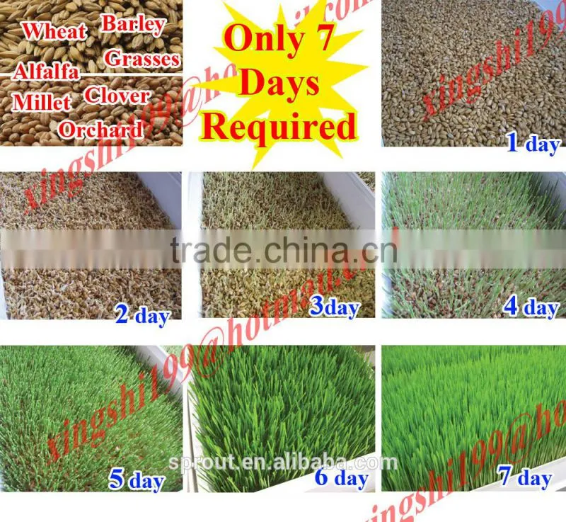 Farm Favorite Green Organic Fodder Growing Machine