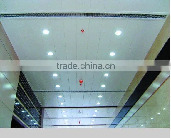 2010 new H-shaped strip ceiling board