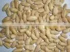 2014 crop Roasted Peanuts