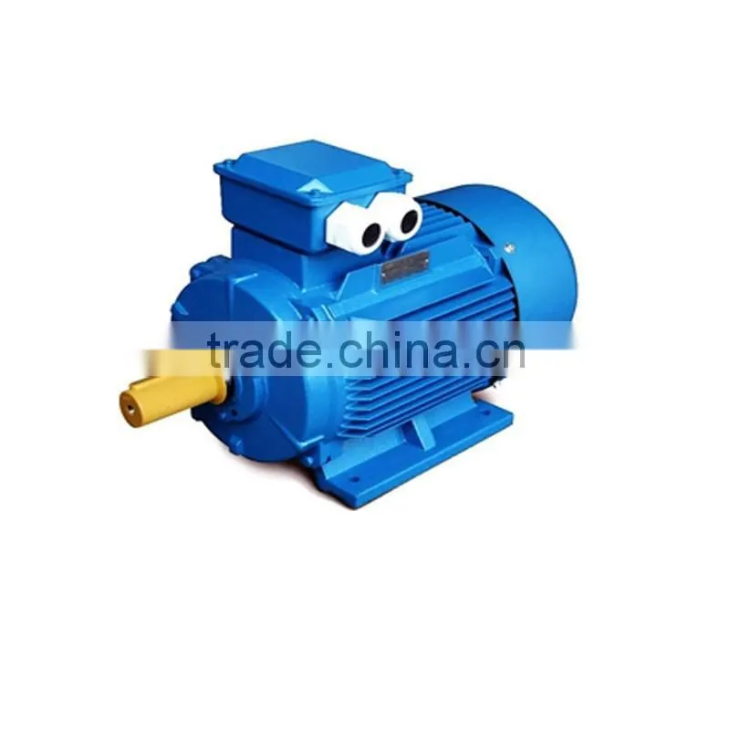 Chinese standard single phase and three phase electric motor