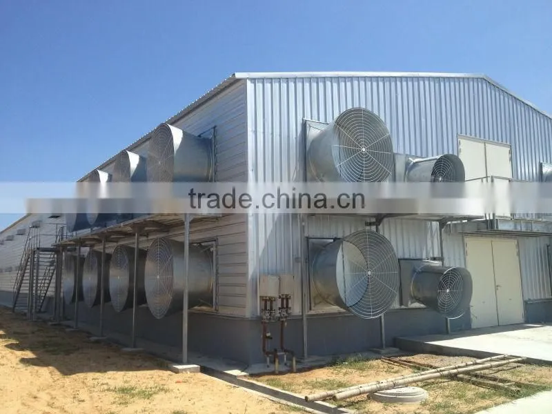 Prefabricated sandwich panel commercial chicken house