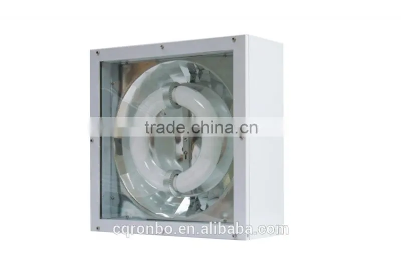 Excellent Sealing Fluorescent Light Replace Induction Explosion Proof Light