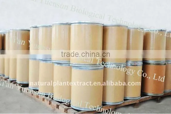 Healthcare Products Chaga Mushroom Extract