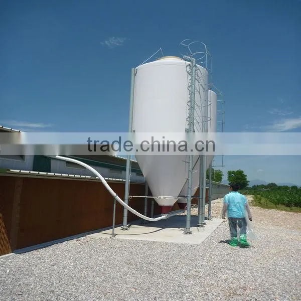 Full automatic poultry equipment for breeder chicken