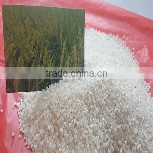 100% BROKEN VIETNAM LONG GRAIN WHITE RICE WITH BEST PRICE