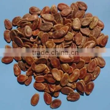 Chinese watermelon kernel