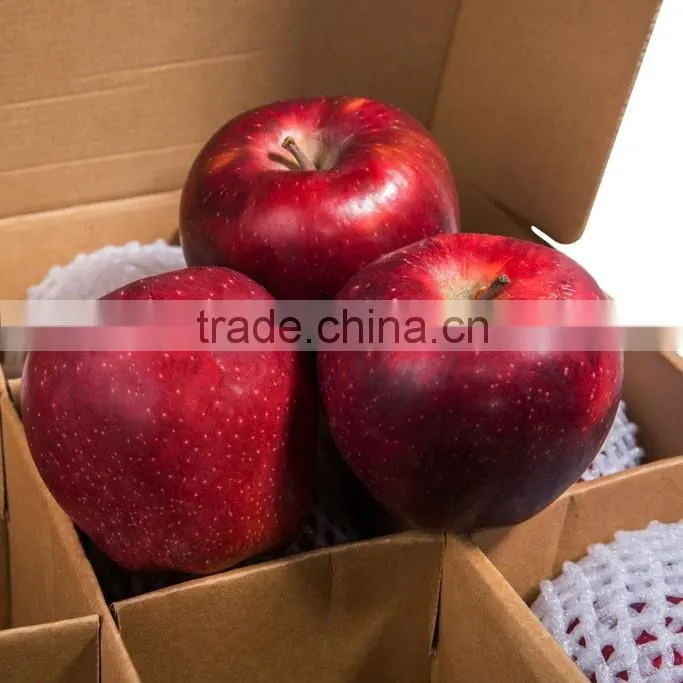 Fresh Huaniu apple from Gansu province fresh huaniu apple