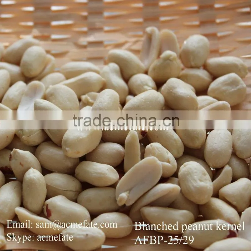 Blanched Peanut Kernel