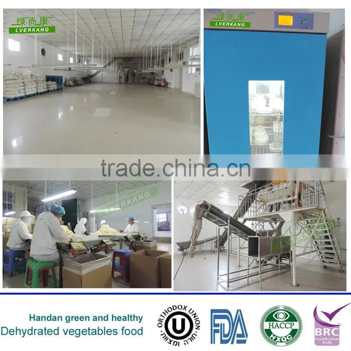 Milky white dried garlic baked powder, good garlic powders from Yongnian, China