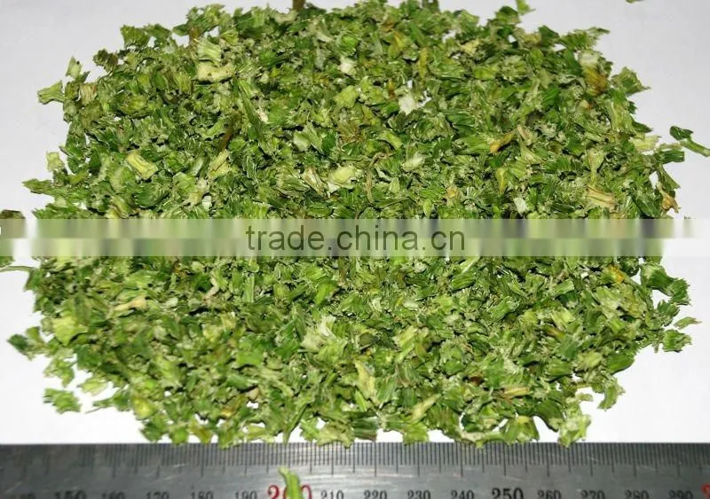 supply deydrated celery leacves 2012 new