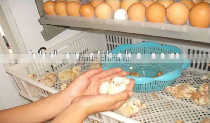 CE Approved Full automatic best price chicken, duck, quail egg incubation machine for sale YZITE-18