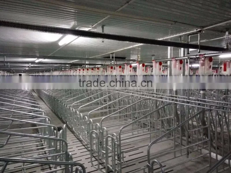 hot sales gestation stalls for pigs
