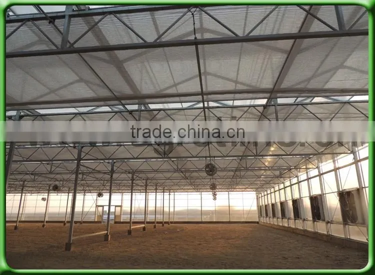 Venlo Greenhouse PC Sheet glass covering hot sale greenhouse/glass greenhouse