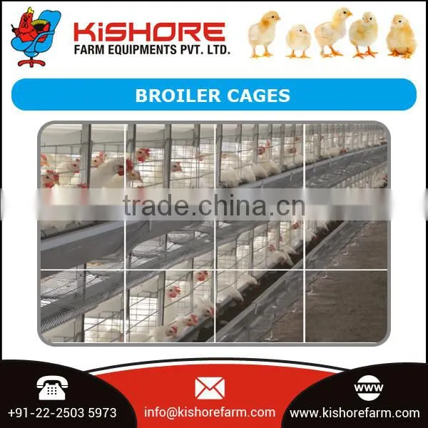 Professional Agriculture Broiler Cage for Farm at Reasonable Rate