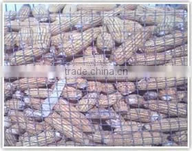 square Galvanized useful Stability consistency and smooth Discount crimped wire mesh