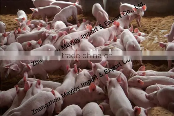 5 ton/10ton/15ton China Poultry Farm Bulk Feed Tanks/Feeds Storage Tank