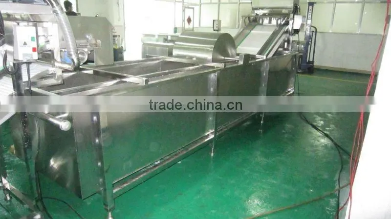 Washing cutting vegetable production line (video)