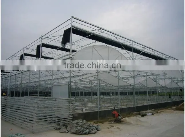 greenhouse with cooling fan for agricultural