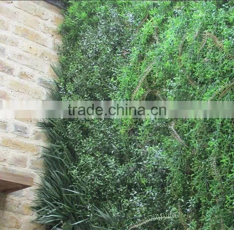 vertical garden green plants wall,green wall backdrop