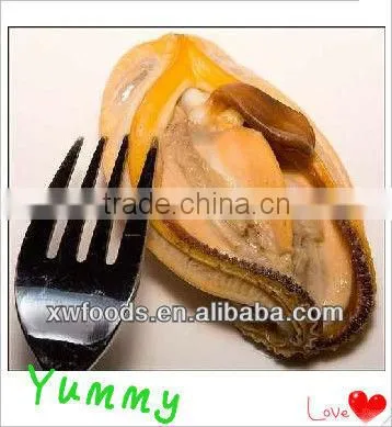 IQF cooked blue frozen mussel meat