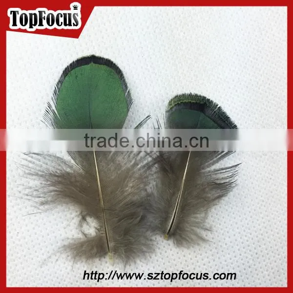 carnival decorate green loose lady amherst pheasant feathers for sale