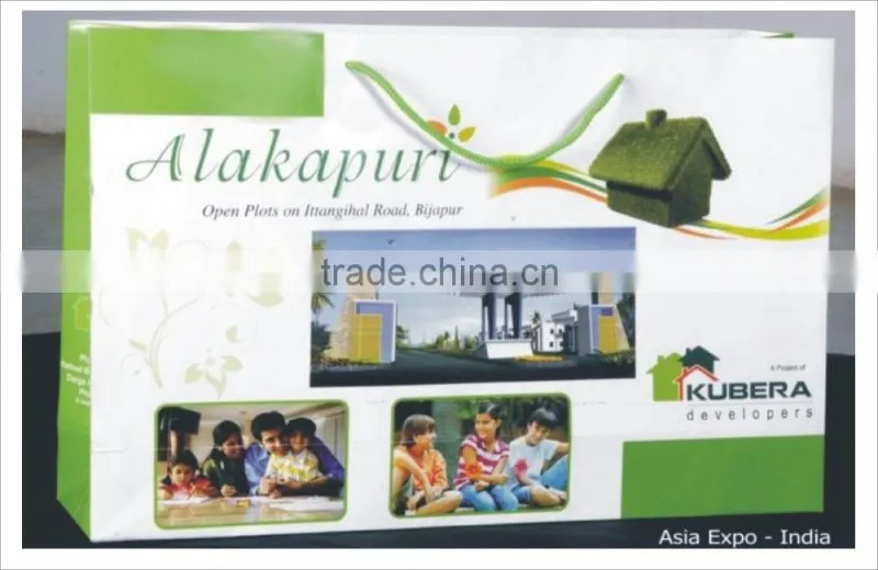 Brand Promotion Paper Bags with logo and brand photos